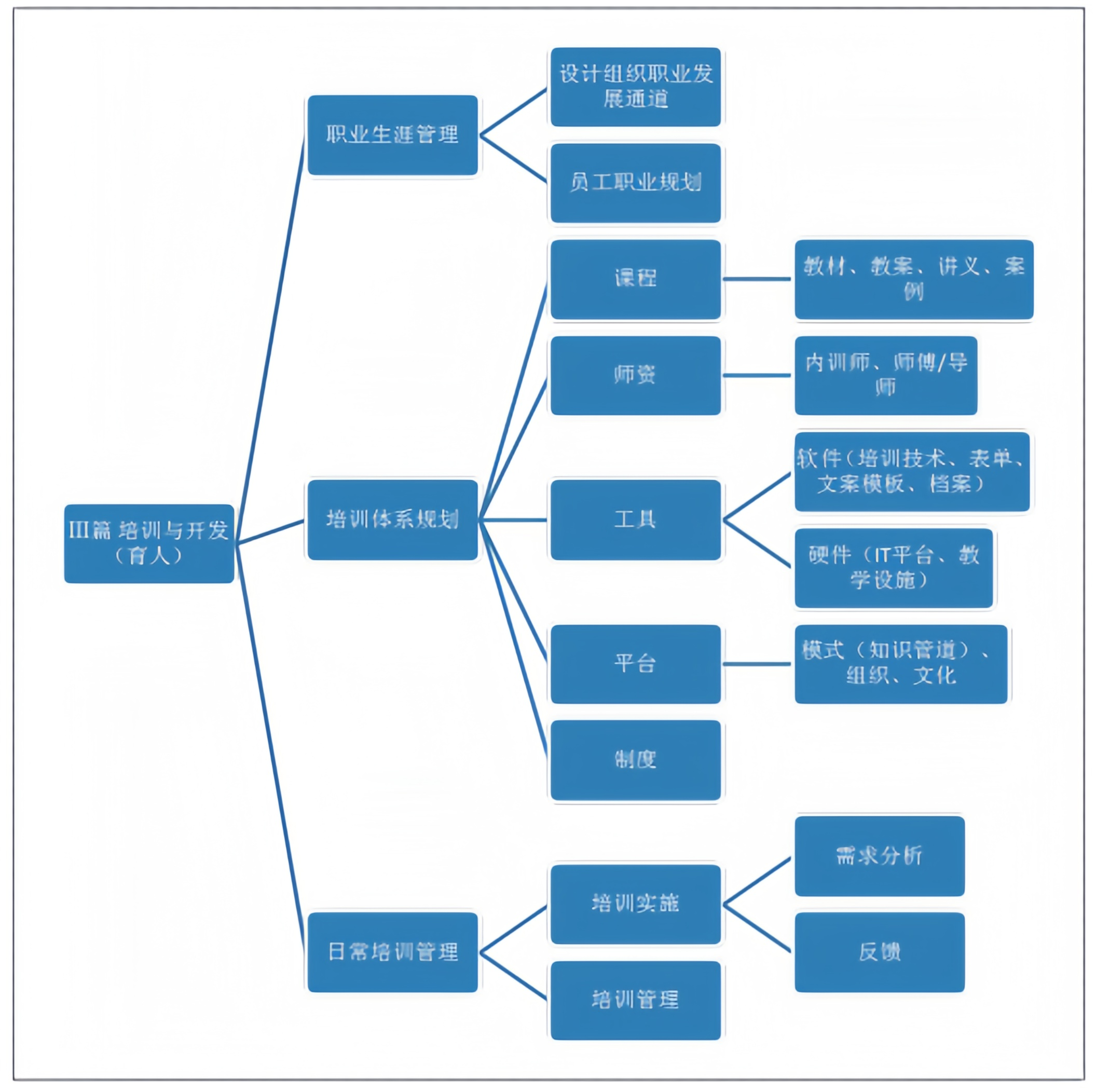 行动学习辅导师建模能力